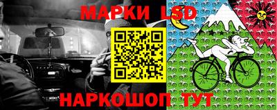 амф Можга