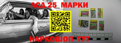 амф Можга