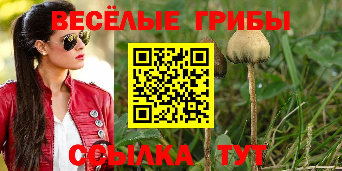 Alpha PVP Ивантеевка