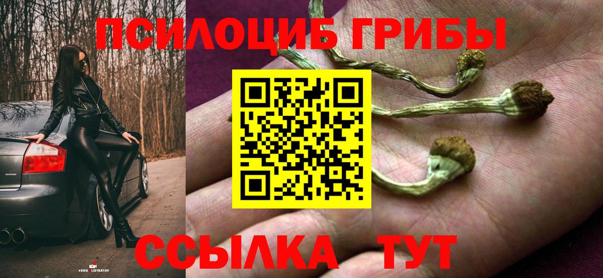 Ивантеевка  Галлюциногенные грибы мицелий  Вход с VPN 