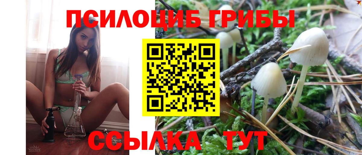 Галлюциногенные грибы прущие грибы Ивантеевка